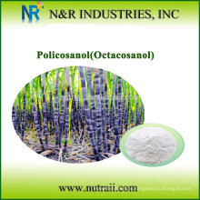 Policosanol (Octacosanol) 95% GC